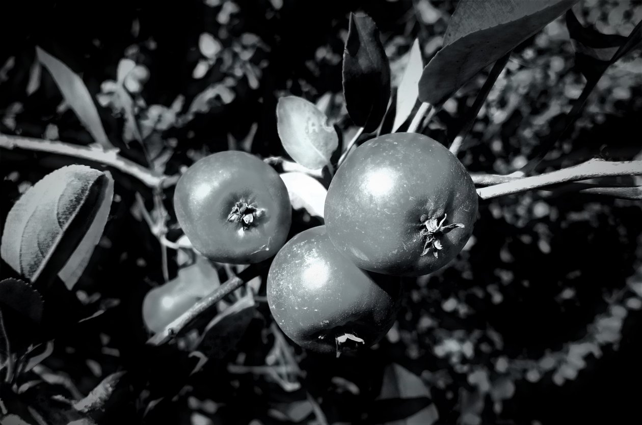 retention, 2019, (fotografi) av Alex Caminker