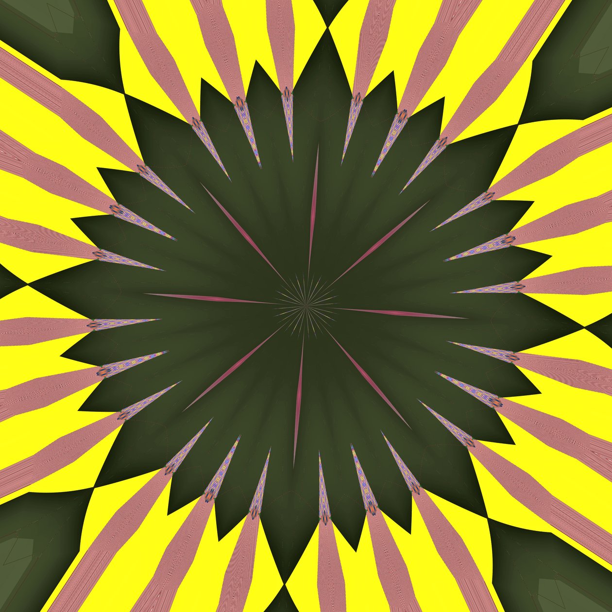 solros, 2019, (digital) av Alex Caminker