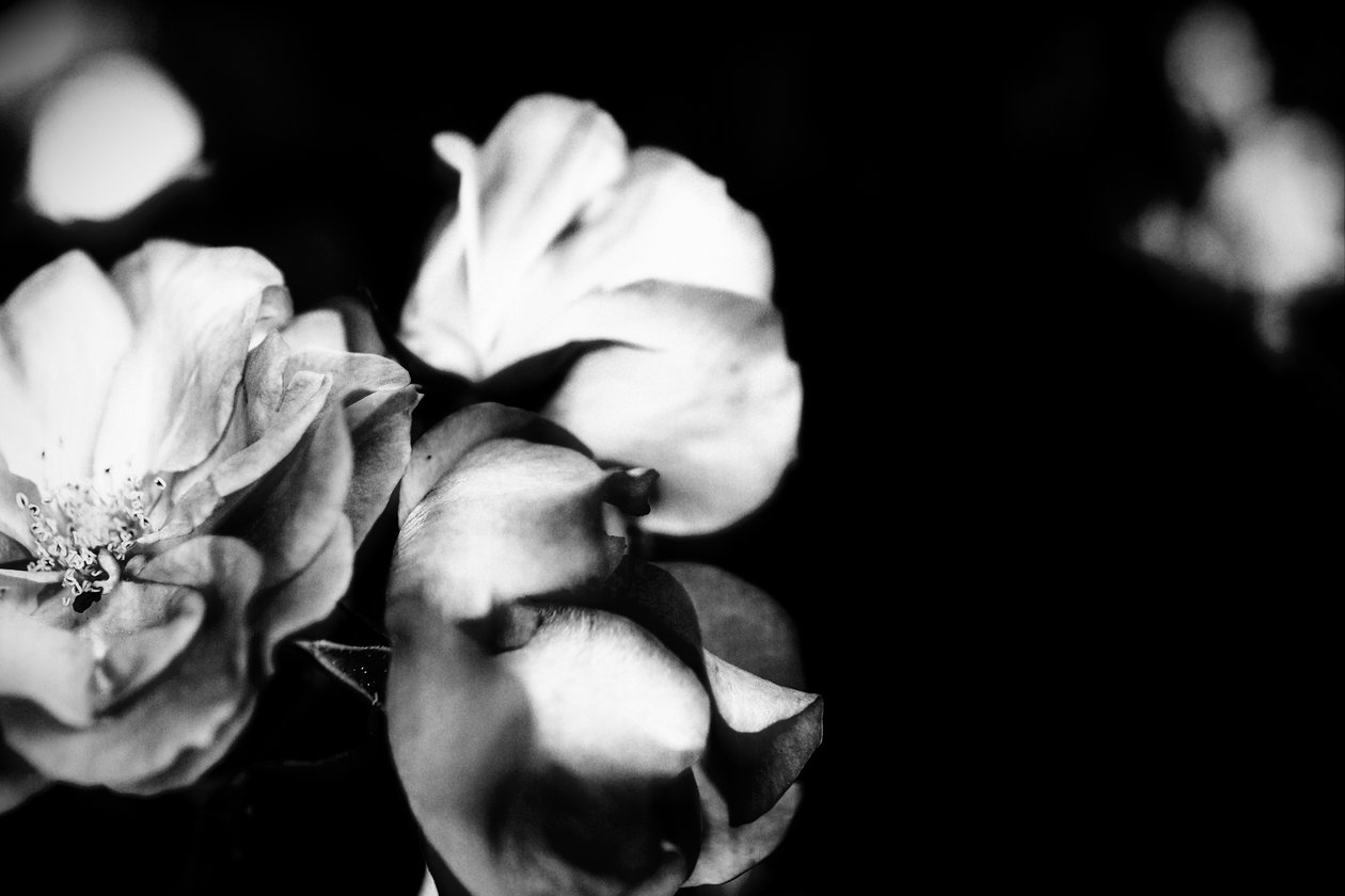 ömhet, 2019, (fotografi) av Alex Caminker