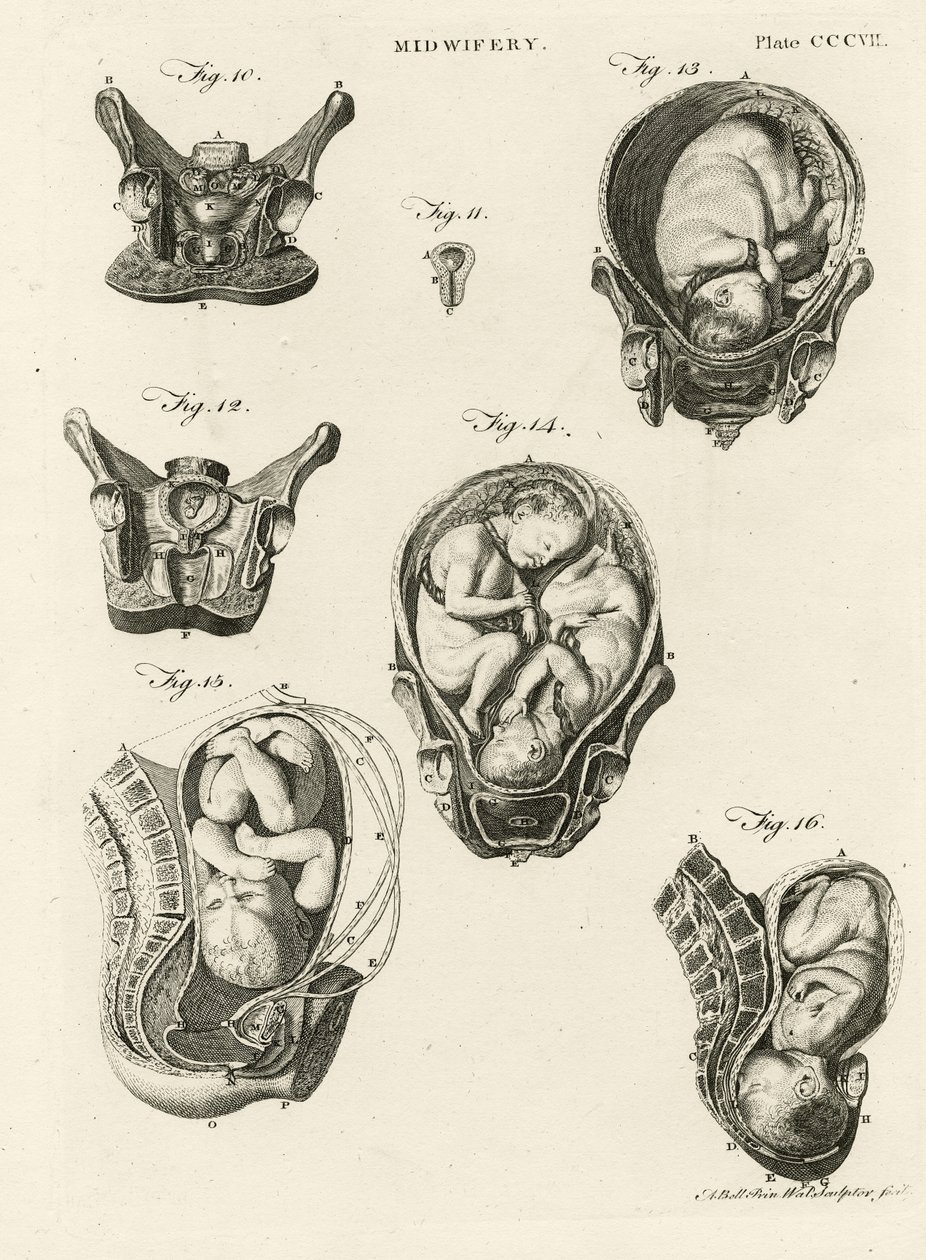 Barnmorska, illustration från 