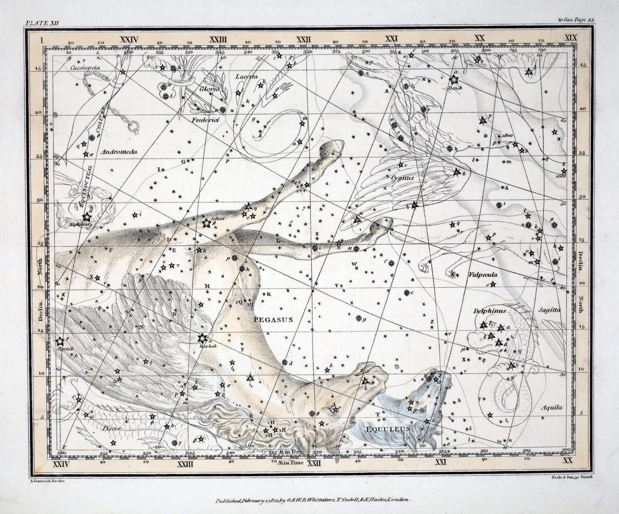 Konstellationerna (Plåt XII) Pegasus och Equuleus, från "A Celestial Atlas" av Alexander Jamieson, pub. London 1822 (handfärgad gravyr) av Alexander Jamieson