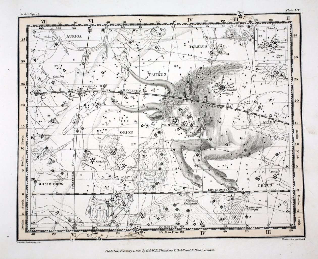 Konstellationerna (platta XIV) Oxen, från "A Celestial Atlas" av Alexander Jamieson, pub. London 1822 (handfärgad gravyr) av Alexander Jamieson