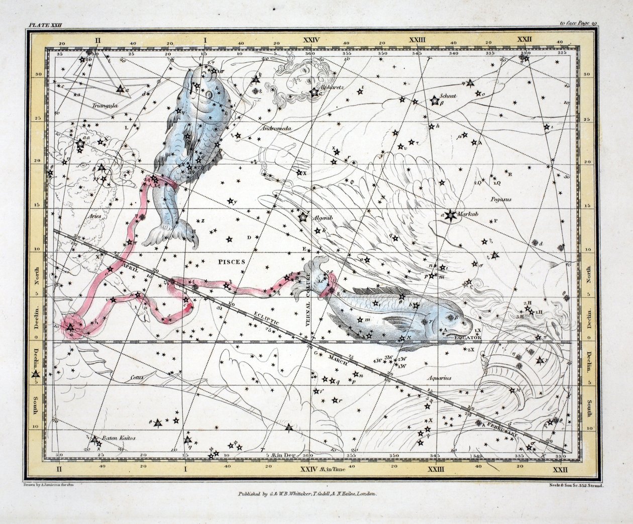 Konstellationerna (platta XXII) Fiskarna, från "A Celestial Atlas" av Alexander Jamieson, pub. London 1822 (handfärgad gravyr) av Alexander Jamieson
