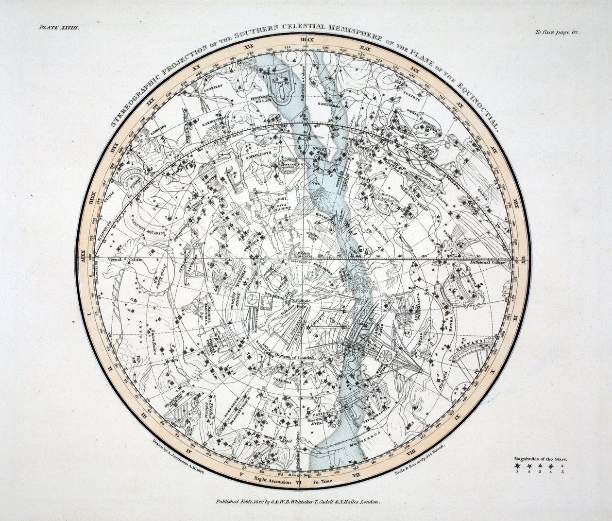 Södra halvklotet (Plåt XXVIII) Phoenix, Flygfisk, Påfågel och Indus, Apus Indica, Grus, Circinus, Dorado eller Xiphias av Alexander Jamieson