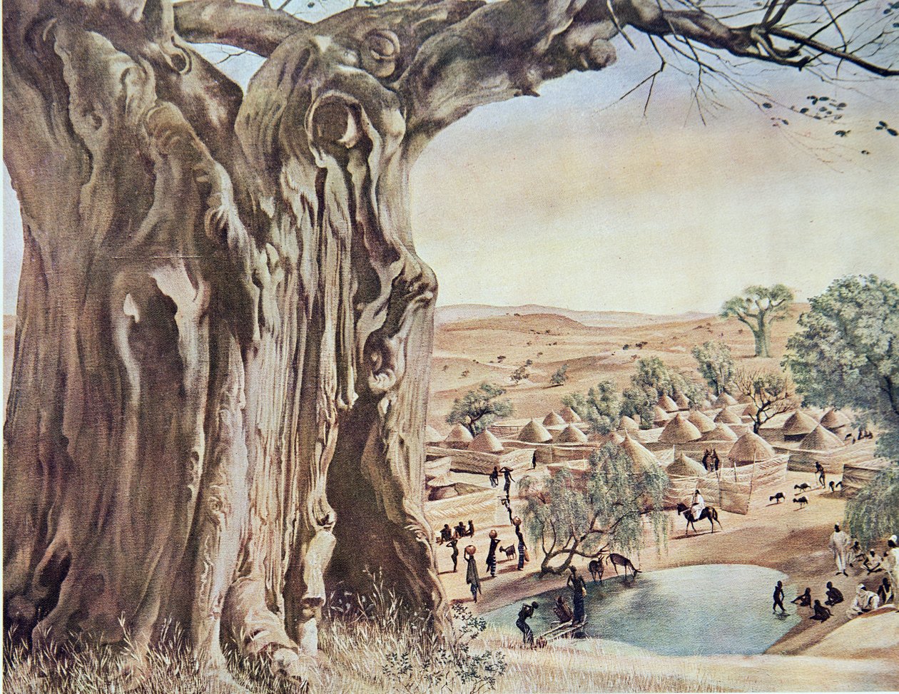 En baobab (Sudan), från Drawings and Paintings of Africa, avrättad under Citroen Center Africa-expeditionen, andra Haardt Audouin-Dubreuil-uppdraget, pub. Paris, 1927 av Alexander Yakovlev