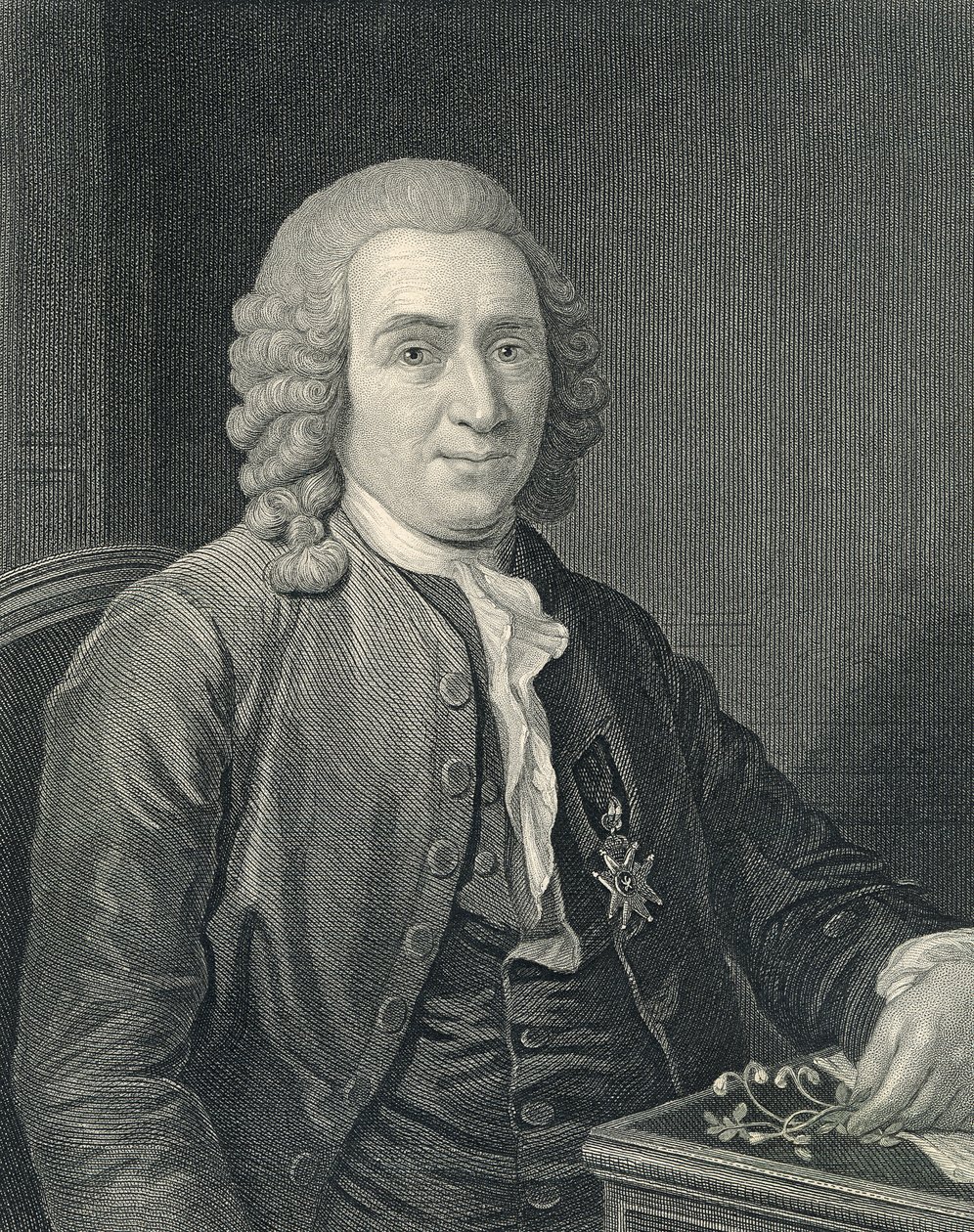 Porträtt av Carolus Linnaeus av Alexander (after) Roslin