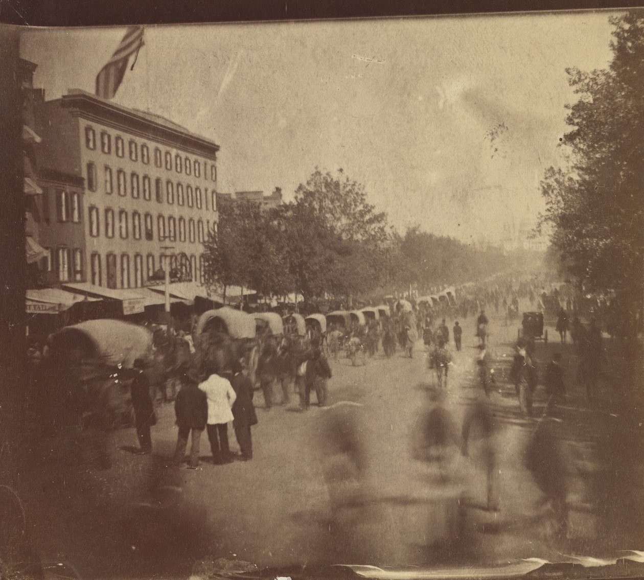 [Grand Army Review, Washington, D.C.], maj 1865. av Alexander Gardner
