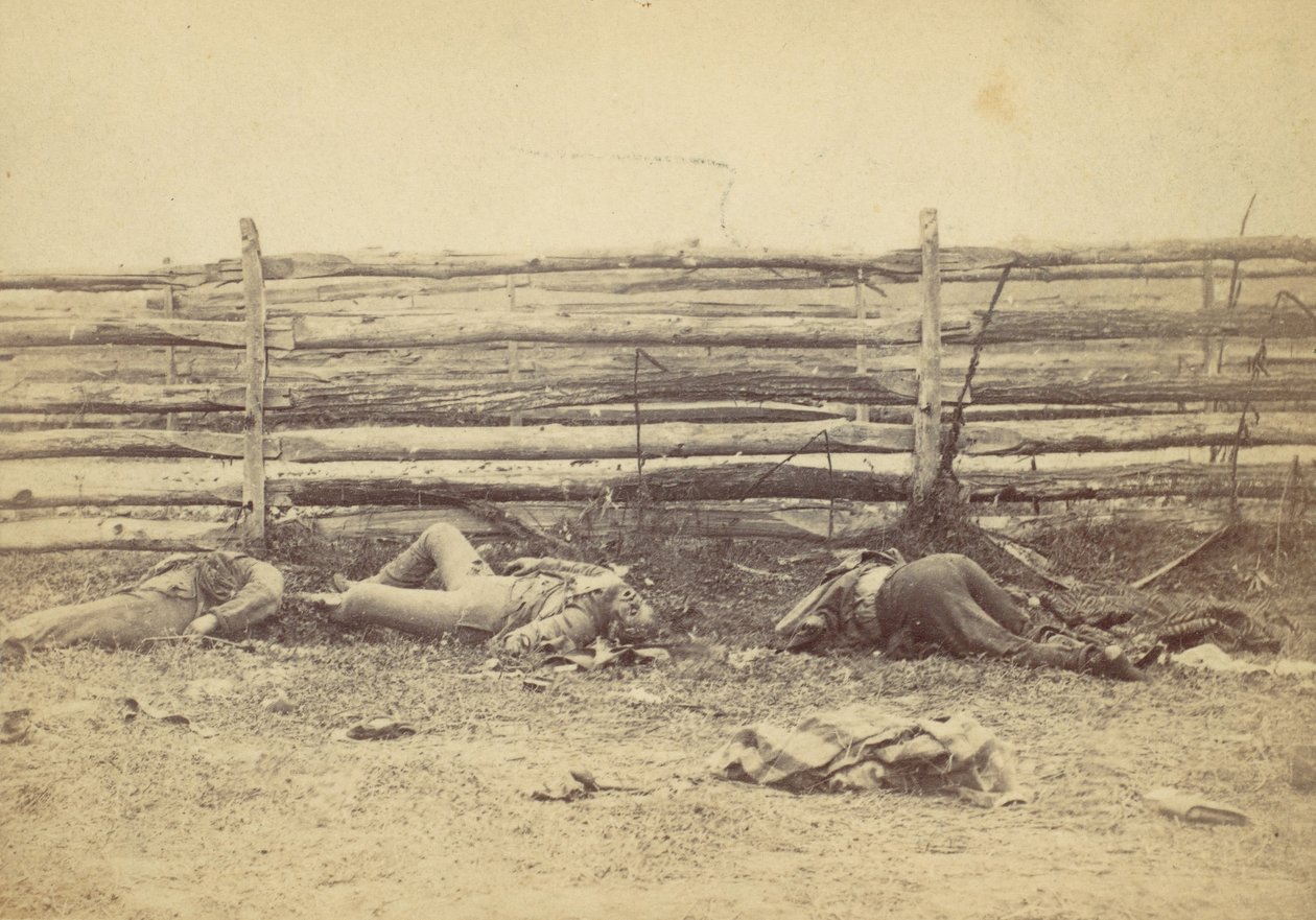 Utsikt i fältet, på västra sidan av Hagerstown Road, efter slaget vid Antietam, ..., 1862. av Alexander Gardner