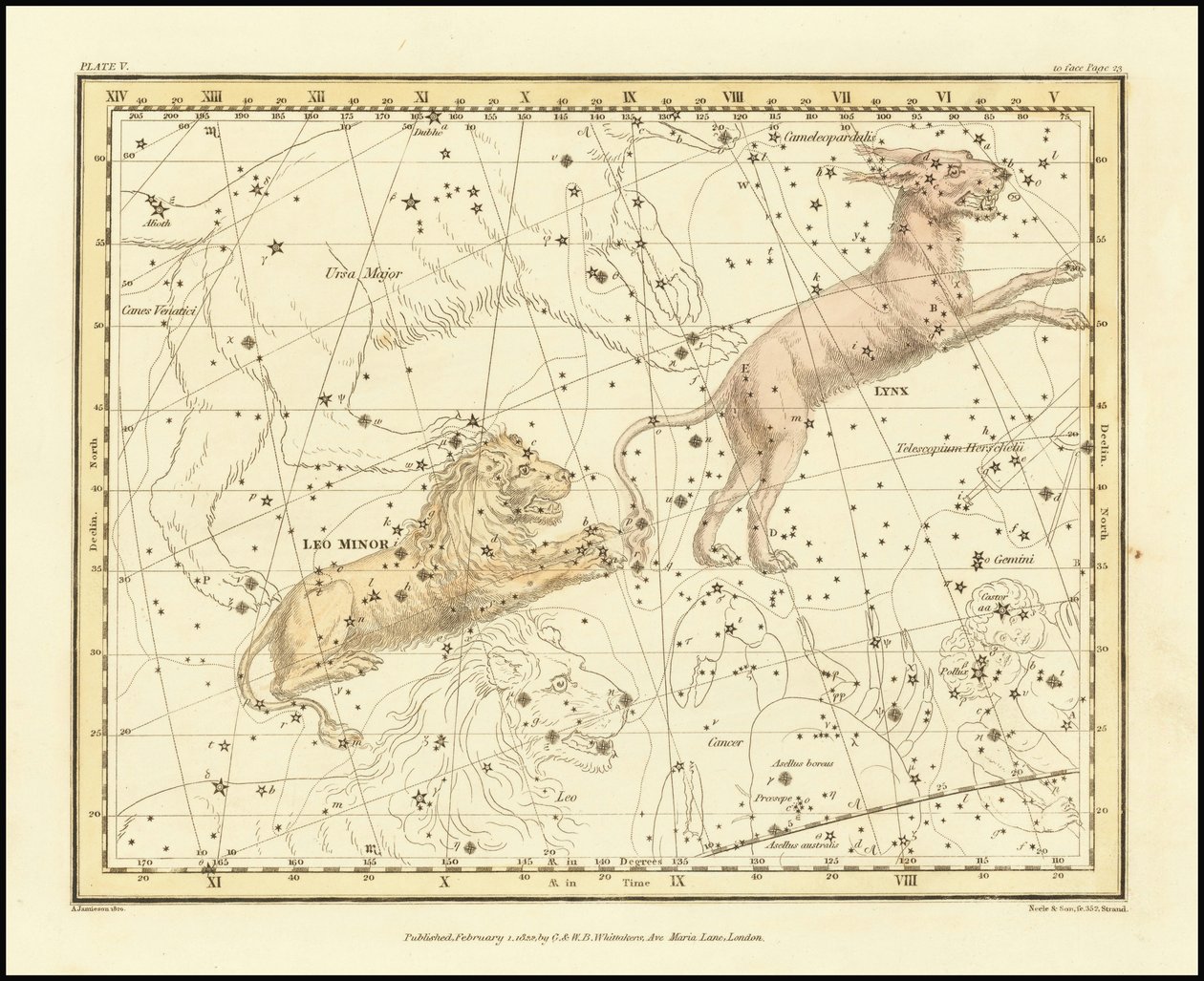 1822 - Alexander Jamieson - Lynx  Leo Minor av Alexander Jamieson