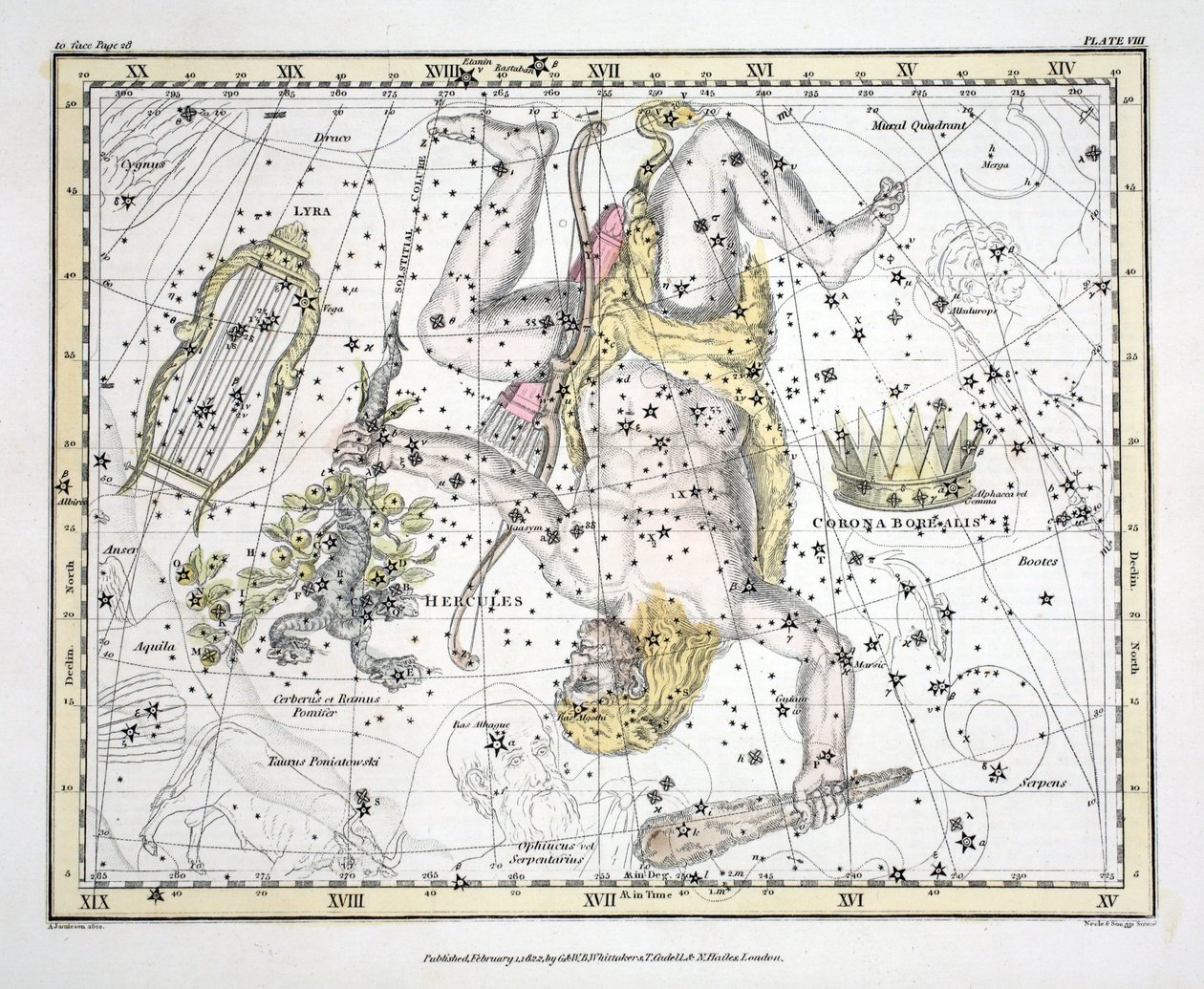 Konstellationerna (platta VIII) Corona Borealis, Hercules och Cerberus, Lyra, från "A Celestial Atlas" av Alexander Jamieson, pub. London 1822 (handfärgad gravyr) av Alexander Jamieson