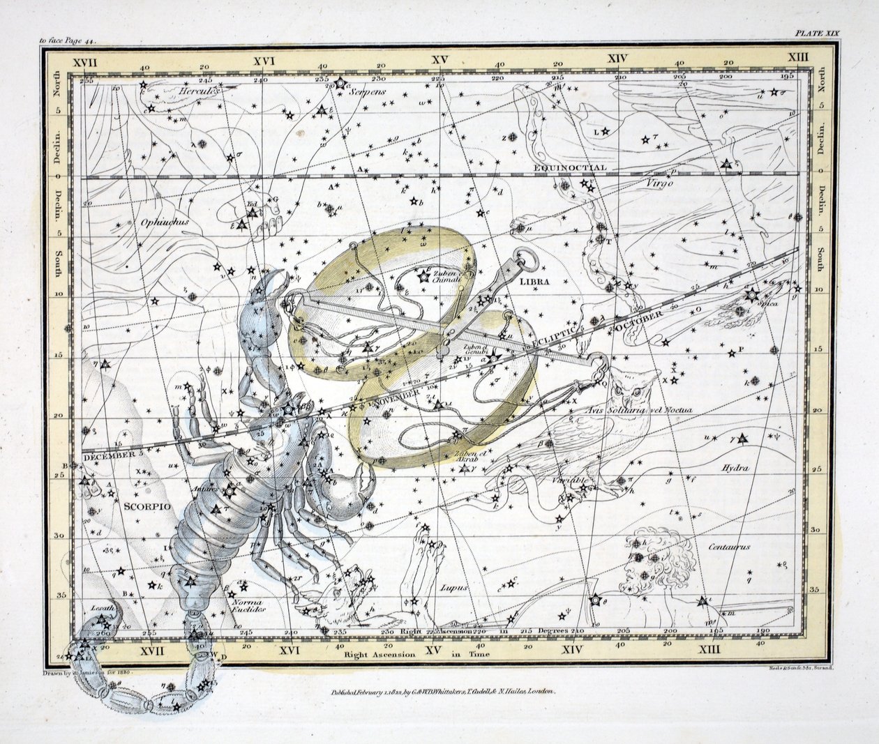 The Constellations (Plate XIX) Libra and Scorpio, från "A Celestial Atlas" av Alexander Jamieson, pub. London 1822 (handfärgad gravyr) av Alexander Jamieson