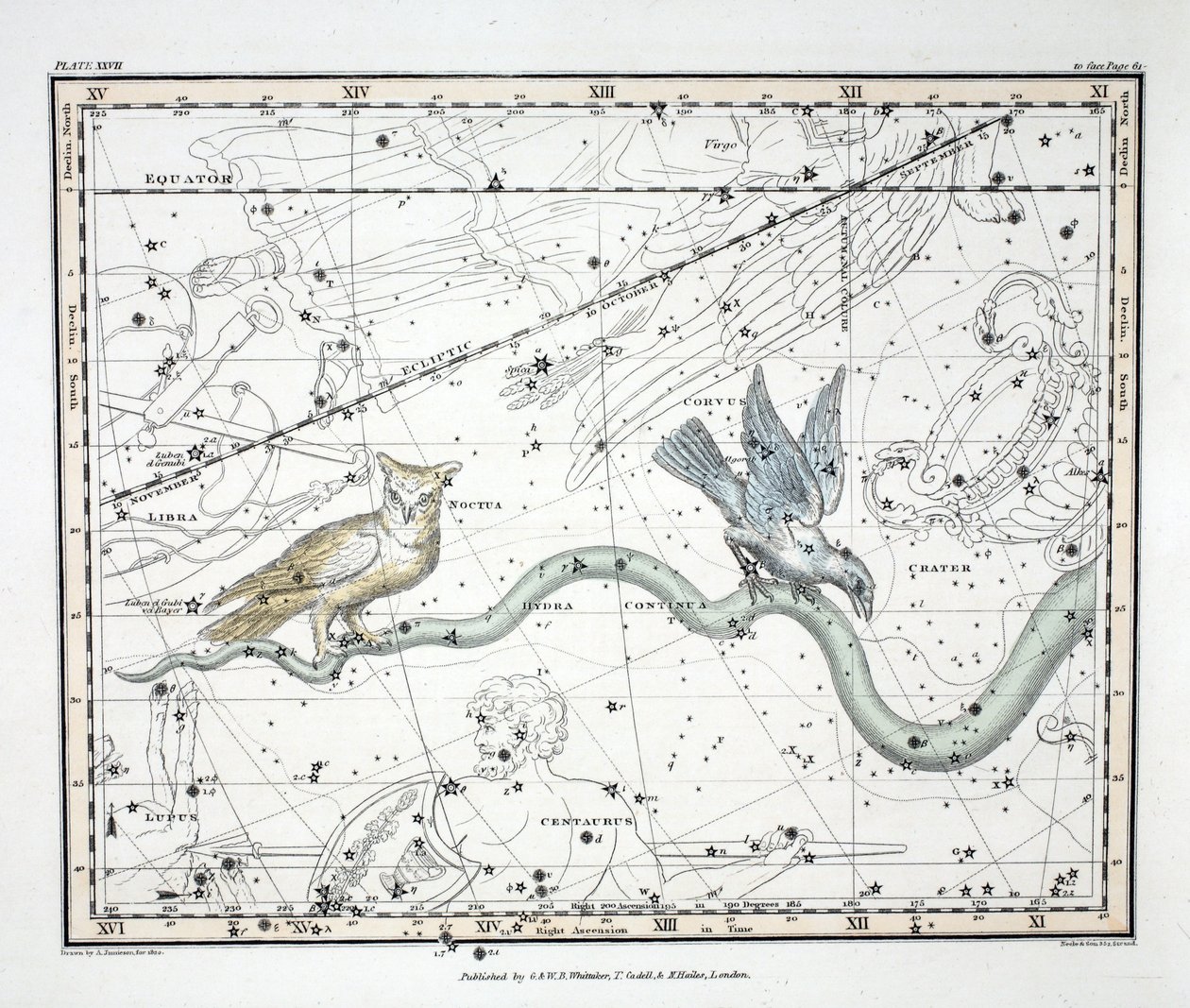 Konstellationerna (platta XXVII) Hydra Continua, Crater, Covus, Centaurus et Lupus, från "A Celestial Atlas" av Alexander Jamieson, pub. London 1822 (handfärgad gravyr) av Alexander Jamieson