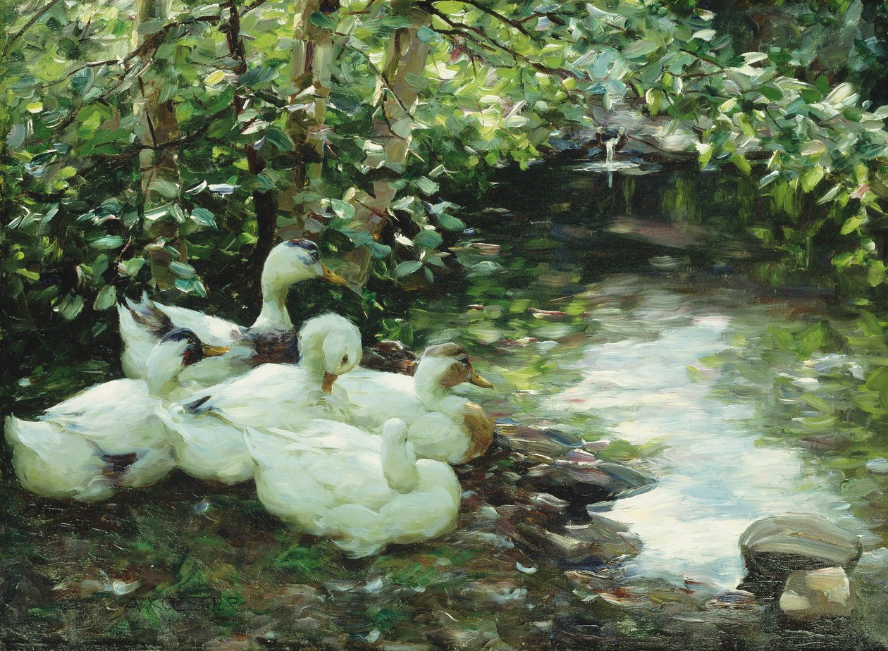 Fem ankor på floden, stenig kust; Funf Enten am Bach, Steiniges Ufer av Alexander Koester