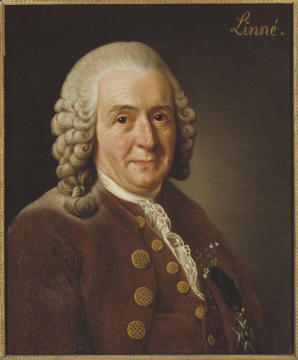 Carl von Linné (1707-1778), professor och botaniker, 1775 av Alexander Roslin