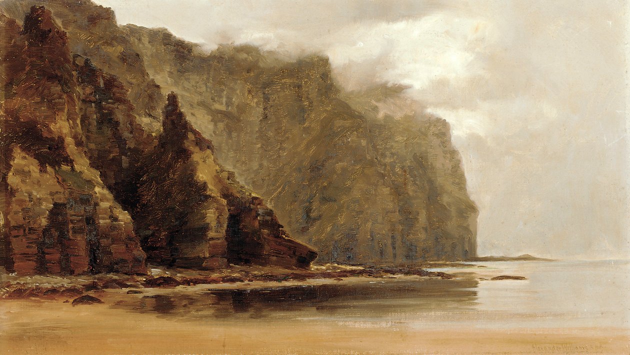 The Minaun Cliffs, Achill Island, County Connacht, Irland (olja på duk) av Alexander Williams