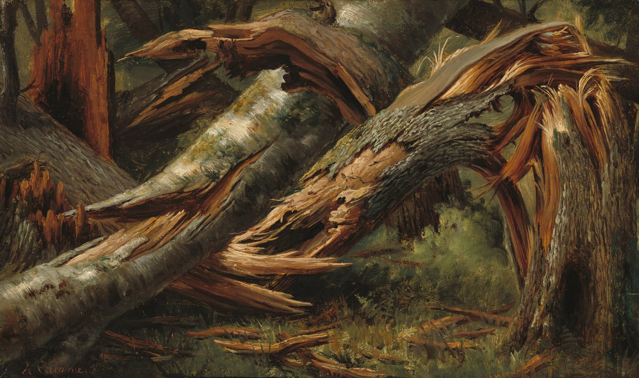 Fallna träd av Alexandre Calame