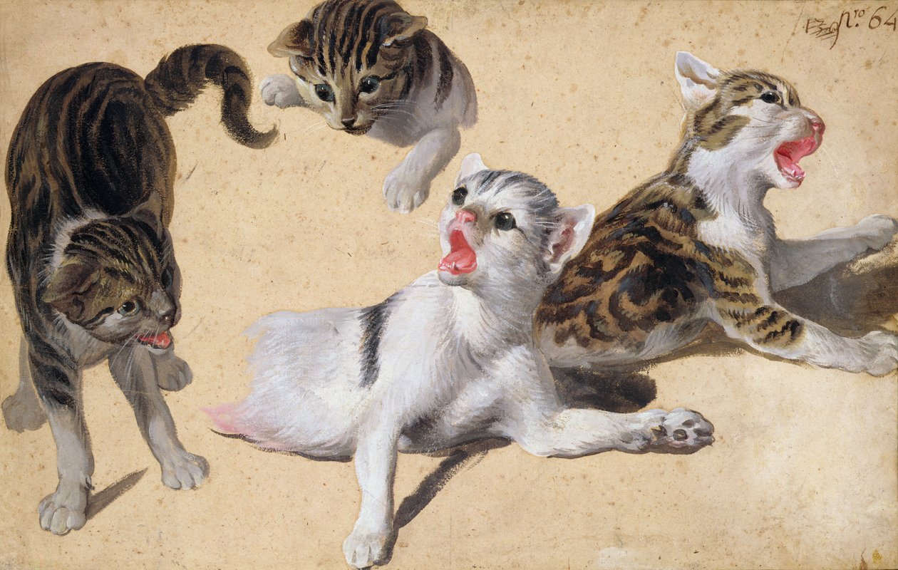 Fyra studier av kattungar (olja på ljusbrunt papper) av Alexandre Francois Desportes