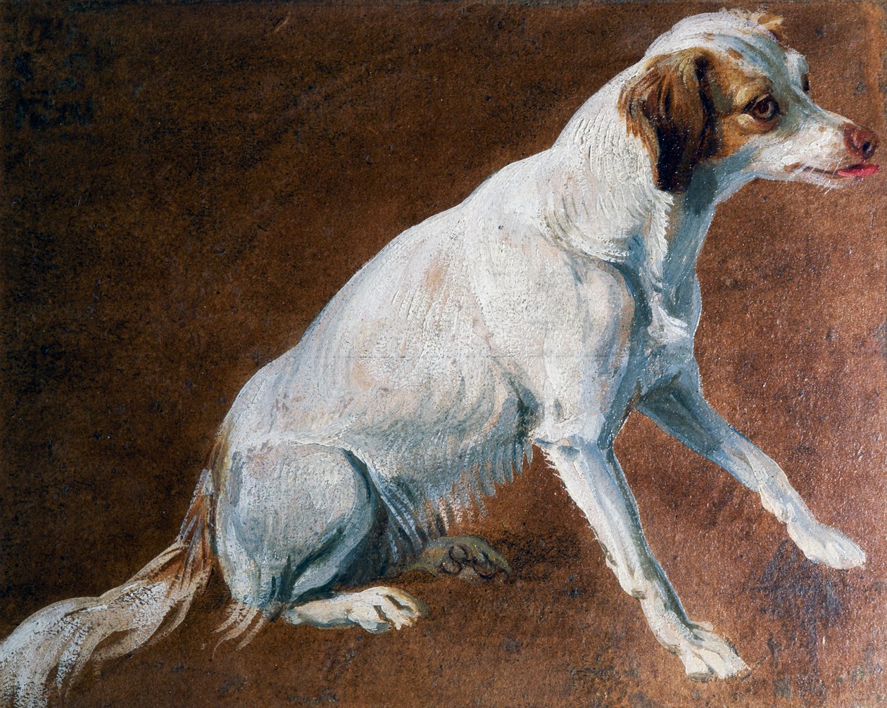 Fransk spaniels förfader, av Alexandre-Francois Desportes (1661-1743), Frankrike av Alexandre Francois Desportes