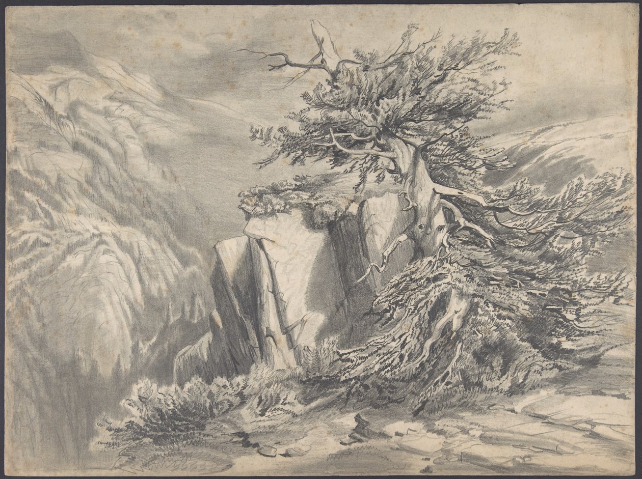 Brutet träd i bergslandskap av Alexandre Calame