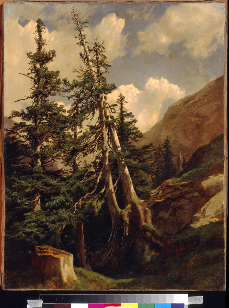 Granar i bergen av Calame, Alexandre (1810-1864). Olja på duk, Mått: 68,5x53. State A. Pushkin Museum of Fine Arts, Moskva av Alexandre Calame