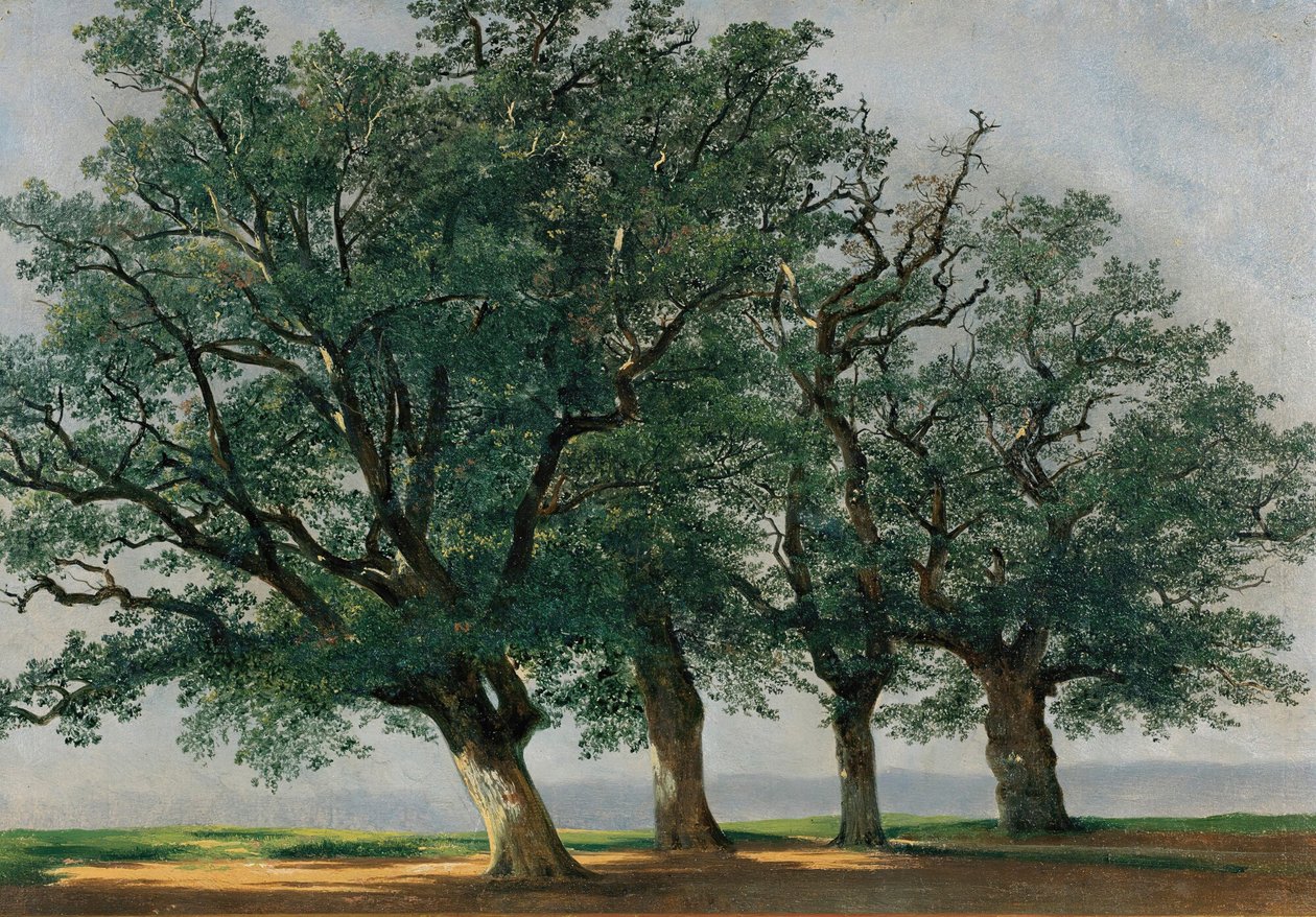 Fyra stora träd (olja på duk) av Alexandre Calame
