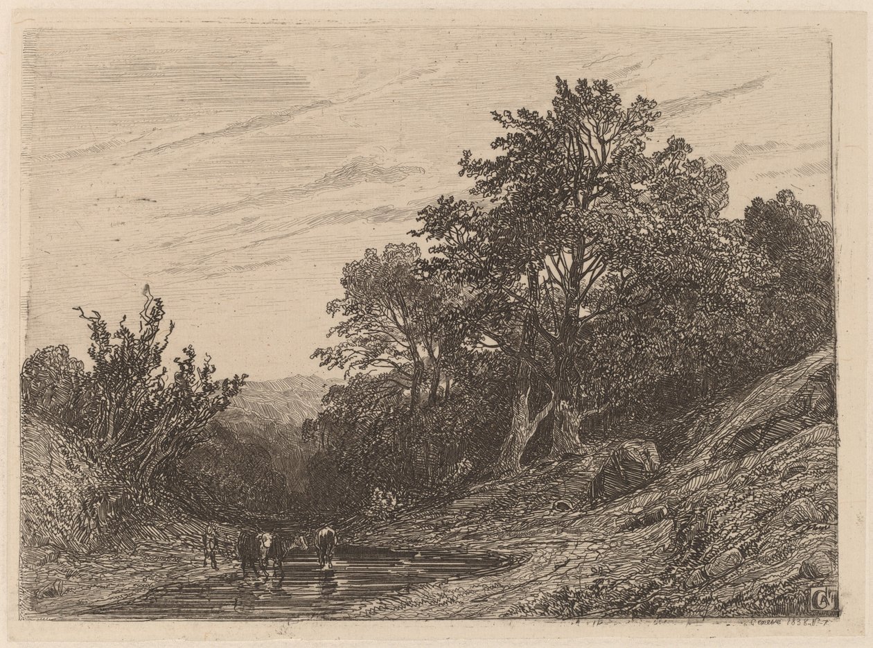 Flock i en ström av Alexandre Calame
