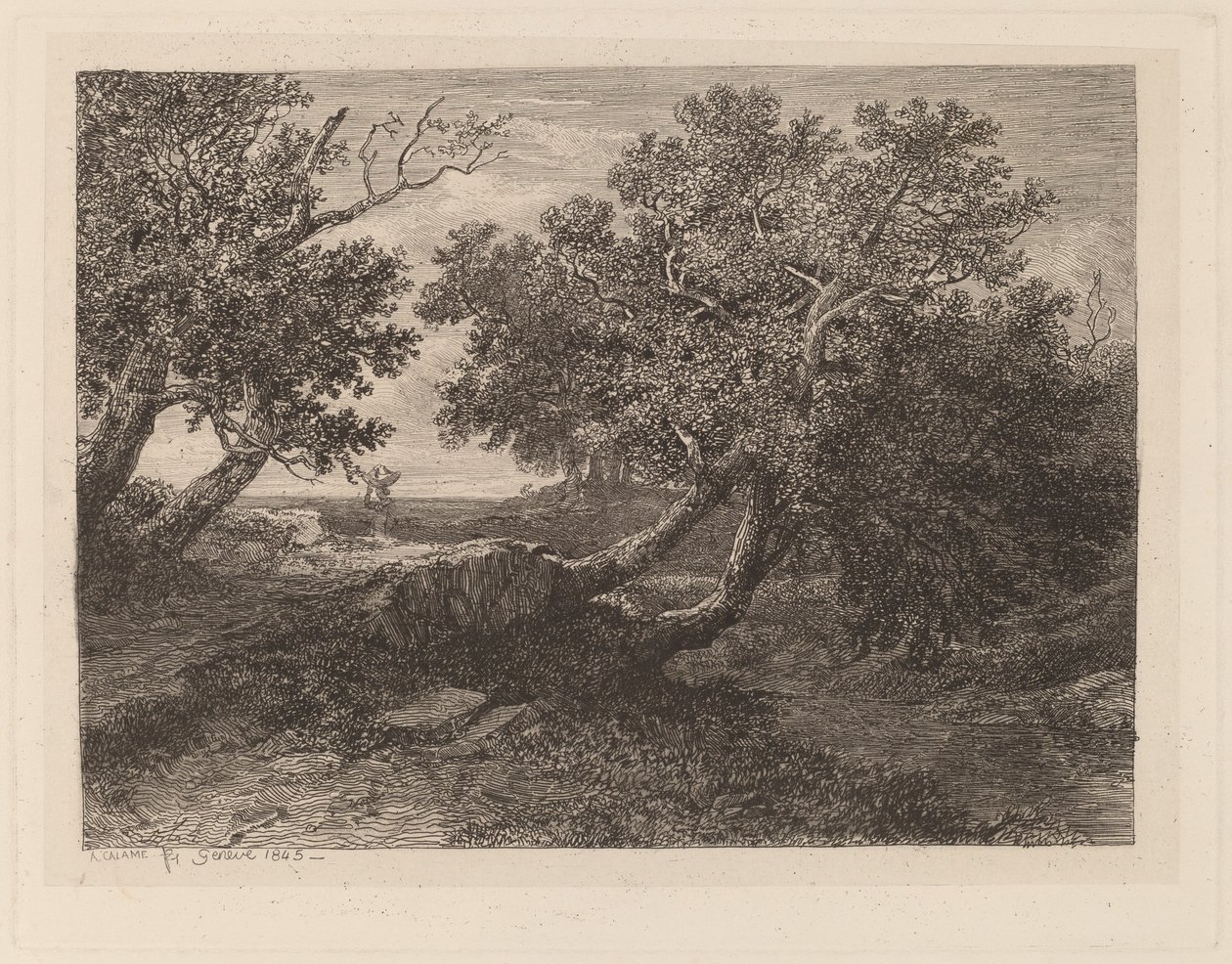 Streama med överhängande träd av Alexandre Calame