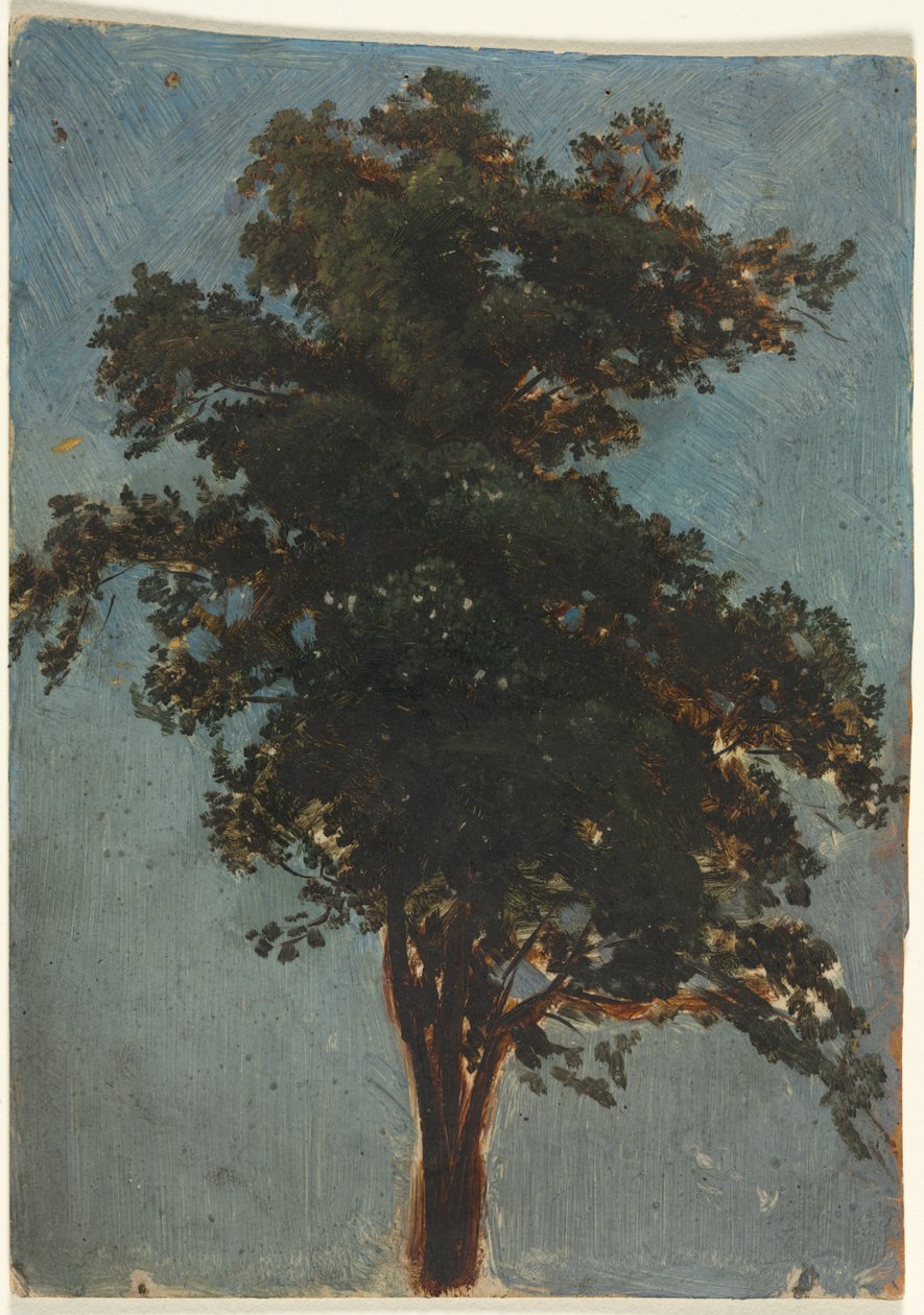 Trädstudie av Alexandre Calame