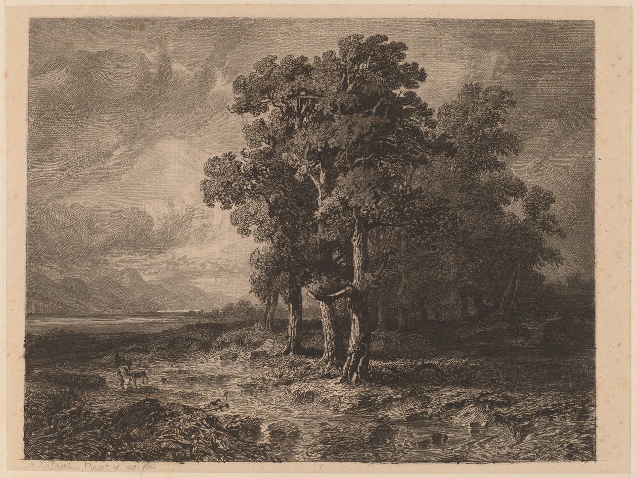 Träd i en storm av Alexandre Calame