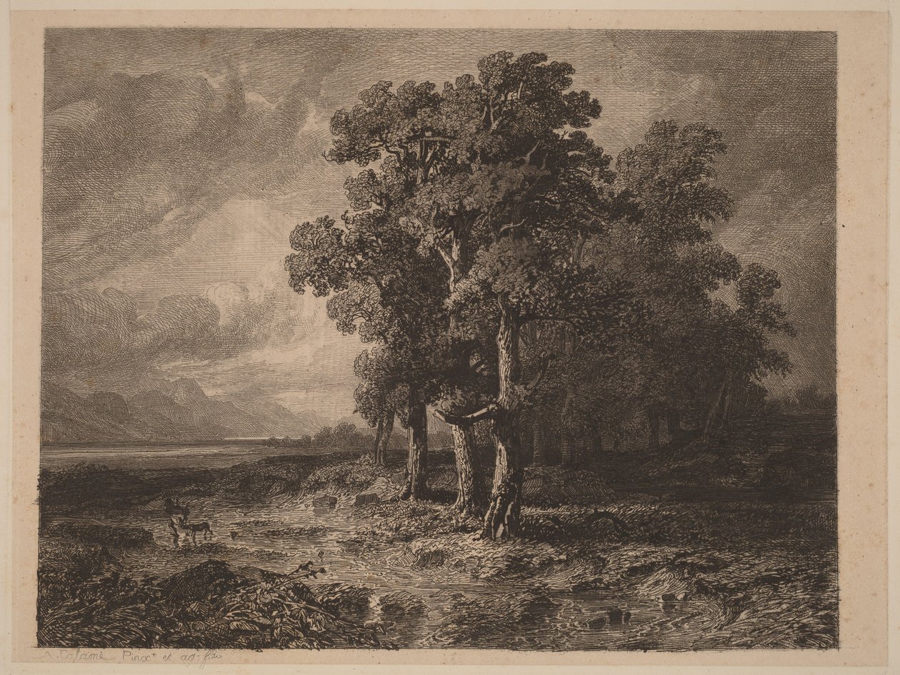 Träd i storm av Alexandre Calame
