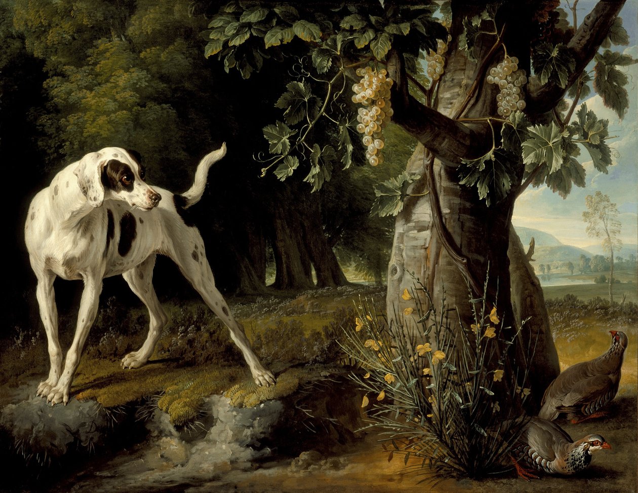 Landskap med en hund och rapphöns, 1719 av Alexandre Francois Desportes