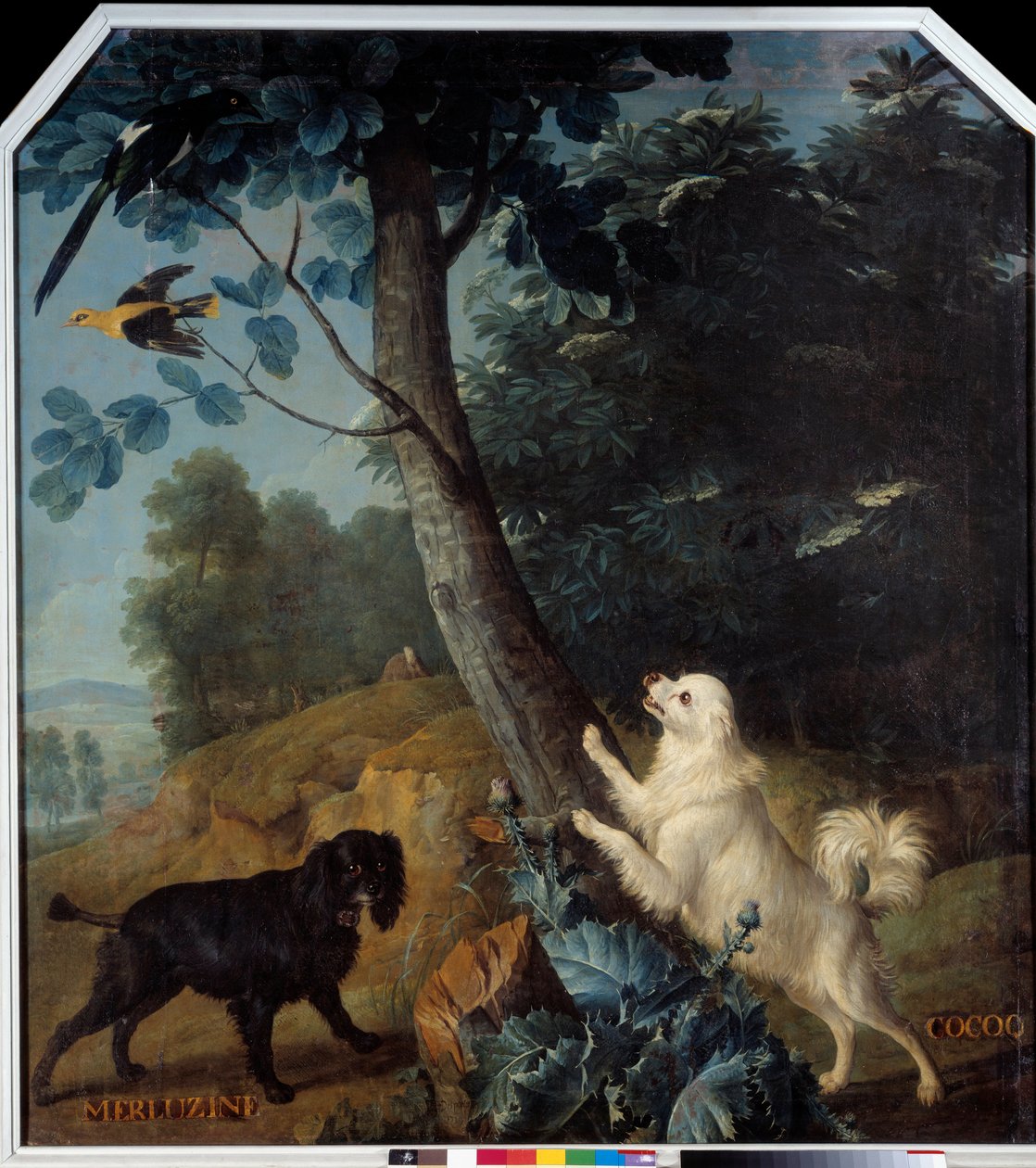 Merluzine och Cocoq, Ludvig XIV:s (1638-1715) hundar. Målning av Francois Desportes (1661-1743) av Alexandre Francois Desportes