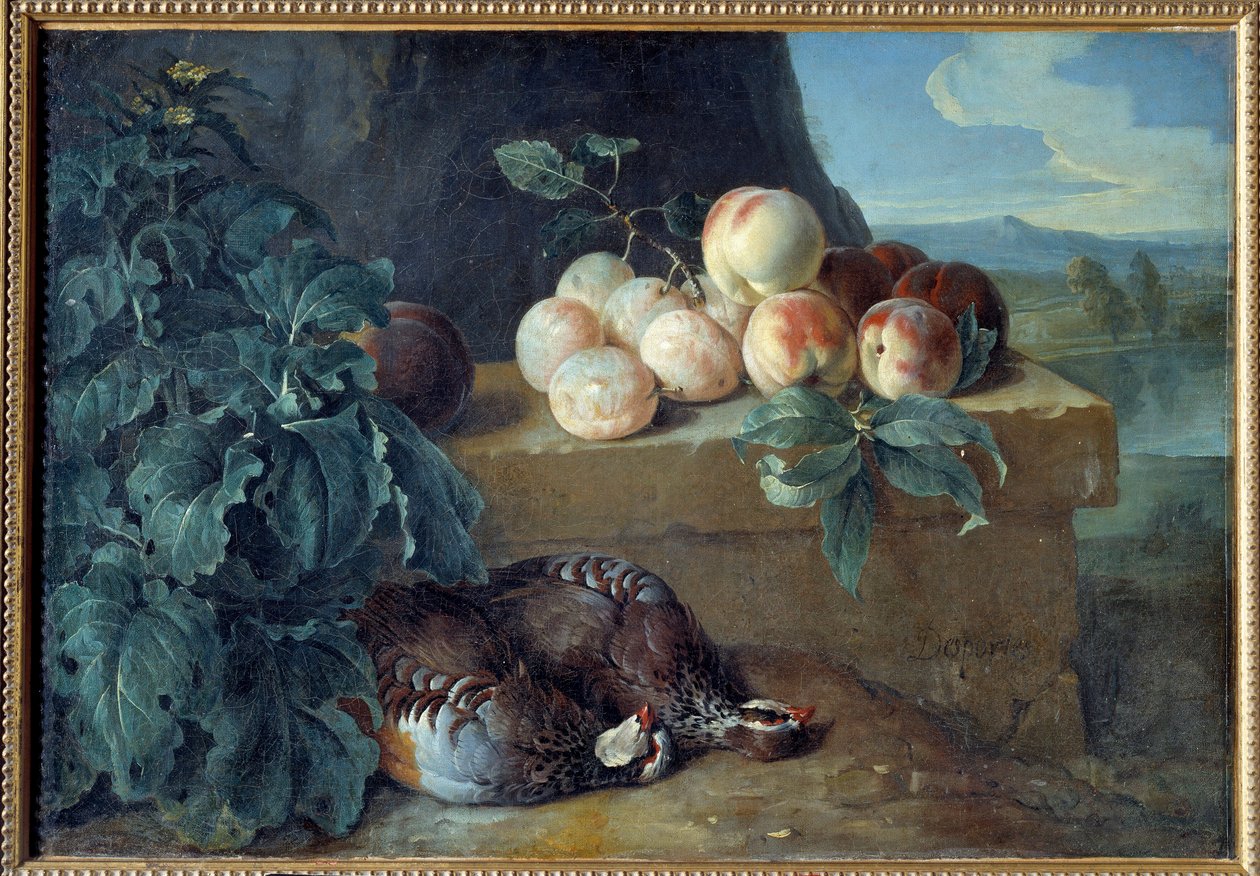 Persikor och rapphöns. Målning av Francois Desportes (1661-1743) av Alexandre Francois Desportes