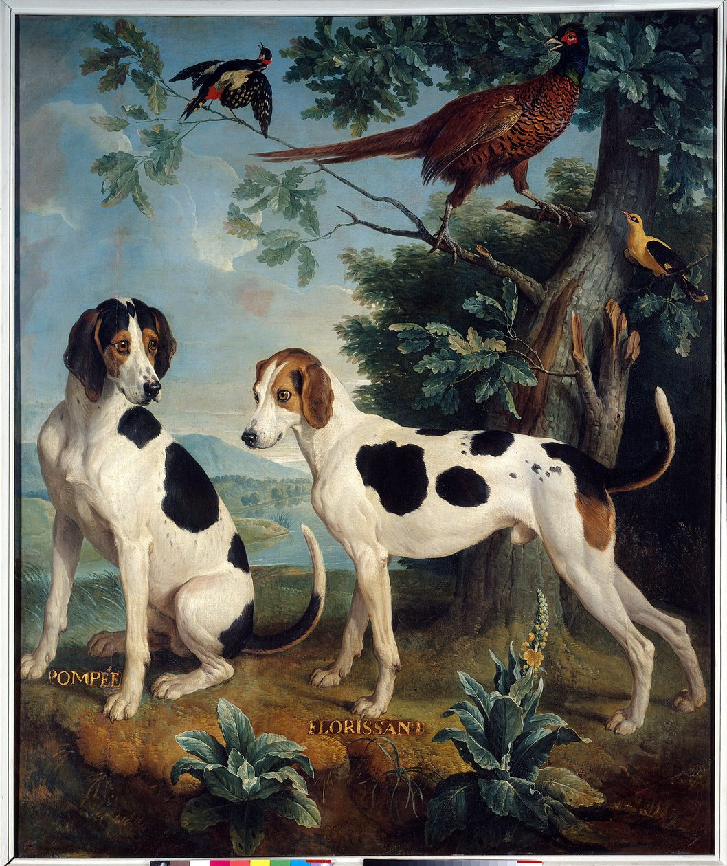 Pompee och Florissant, Ludvig XIV:s hundar (1638-1715). Målning av Francois Desportes (1661-1743) av Alexandre Francois Desportes
