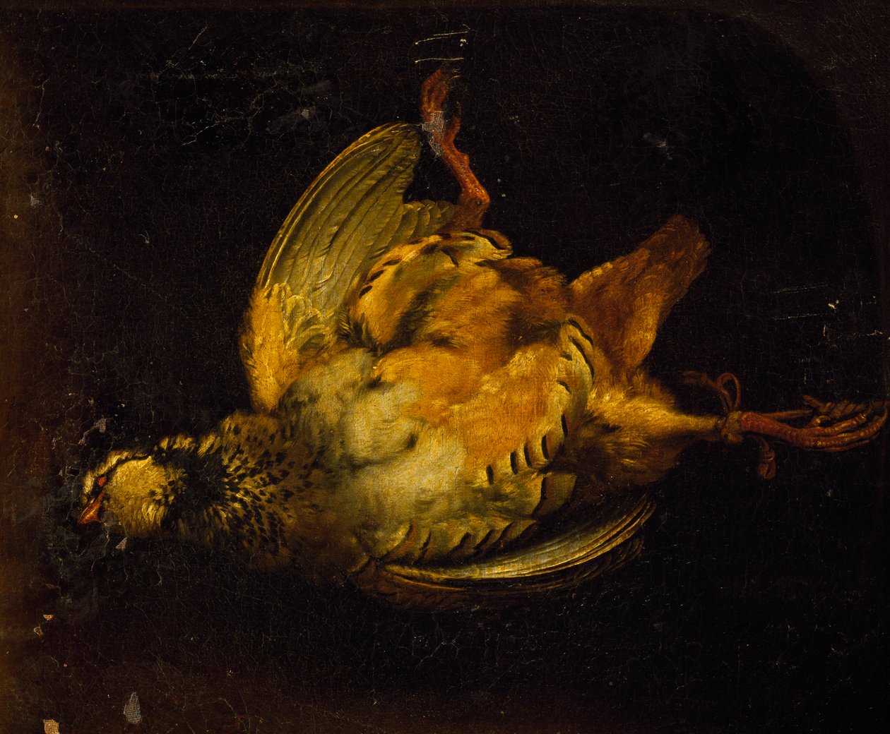 Stilleben med rapphöna, målning av Alexandre-Francois Desportes (1661-1743), Frankrike av Alexandre Francois Desportes