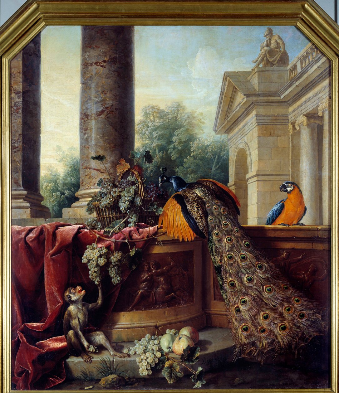 Stilleben med påfågel En papegoja, en apa och druvklasar. Målning av Francois Desportes (1661-1743) 1700-talets sön. 2,05x1,8 m Lyon, Musee des Beaux Arts av Alexandre Francois Desportes