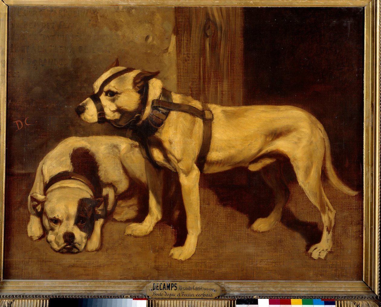 Scottish Bulldog och Terrier Bad Dog med nosparti. Målning av Alexandre Gabriel Decamps av Alexandre Gabriel Decamps