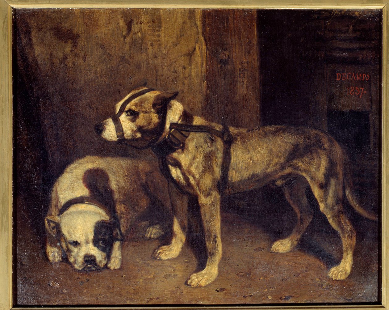 Skotsk bulldogg och terriermålning av Alexandre Gabriel Decamps (1803-1860) 1800-talets sön. 1,04x1,34 m av Alexandre Gabriel Decamps