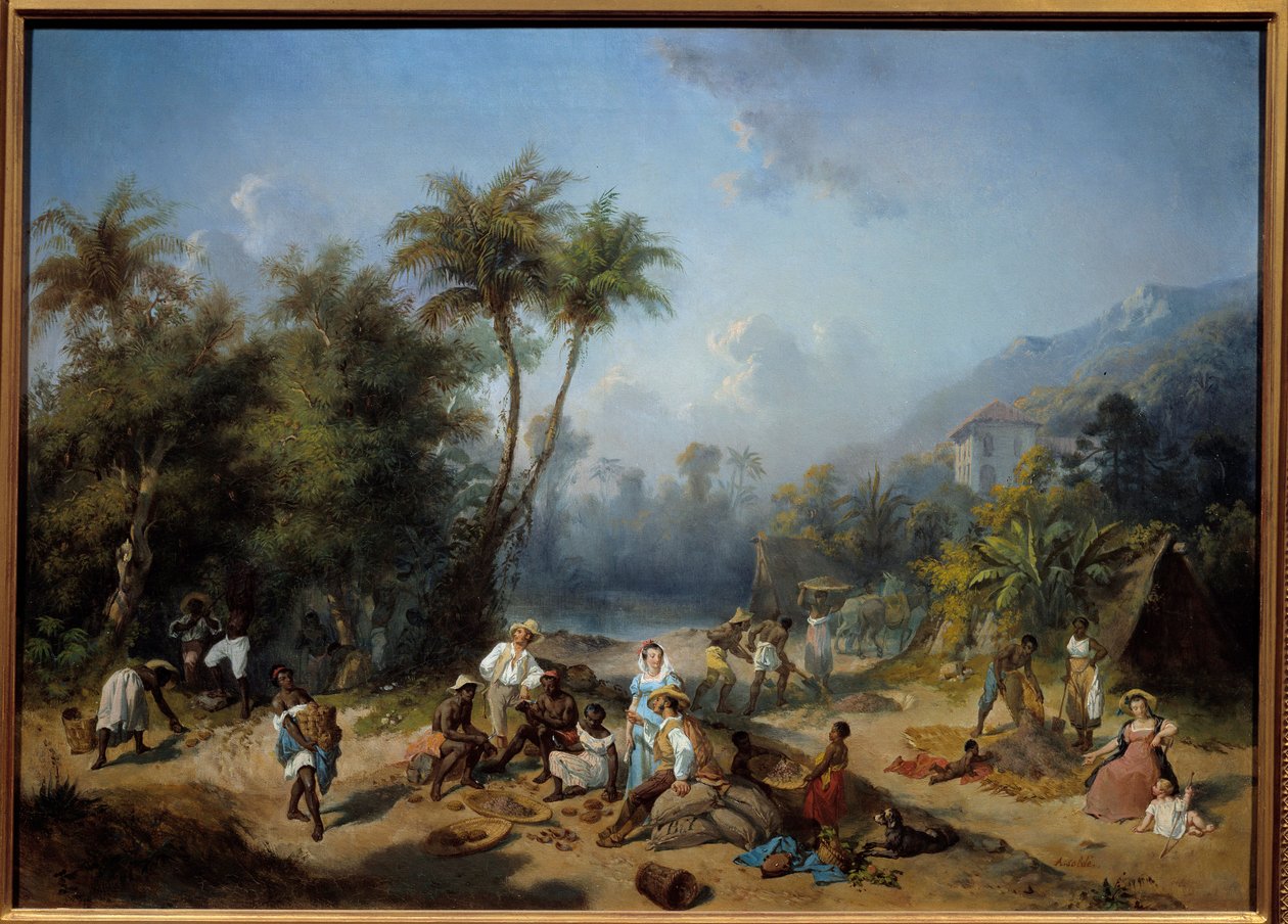 En kakaoplantage i Västindien Målning av Alexandre Balance (1822-1893) 1800-talets sön. 0,5x0,7 m La Rochelle, Musee du Nouveau Monde - En kakaoplantage i Västindien. Målning av Alexandre Balance (1822-1893) av Alexandre Solde