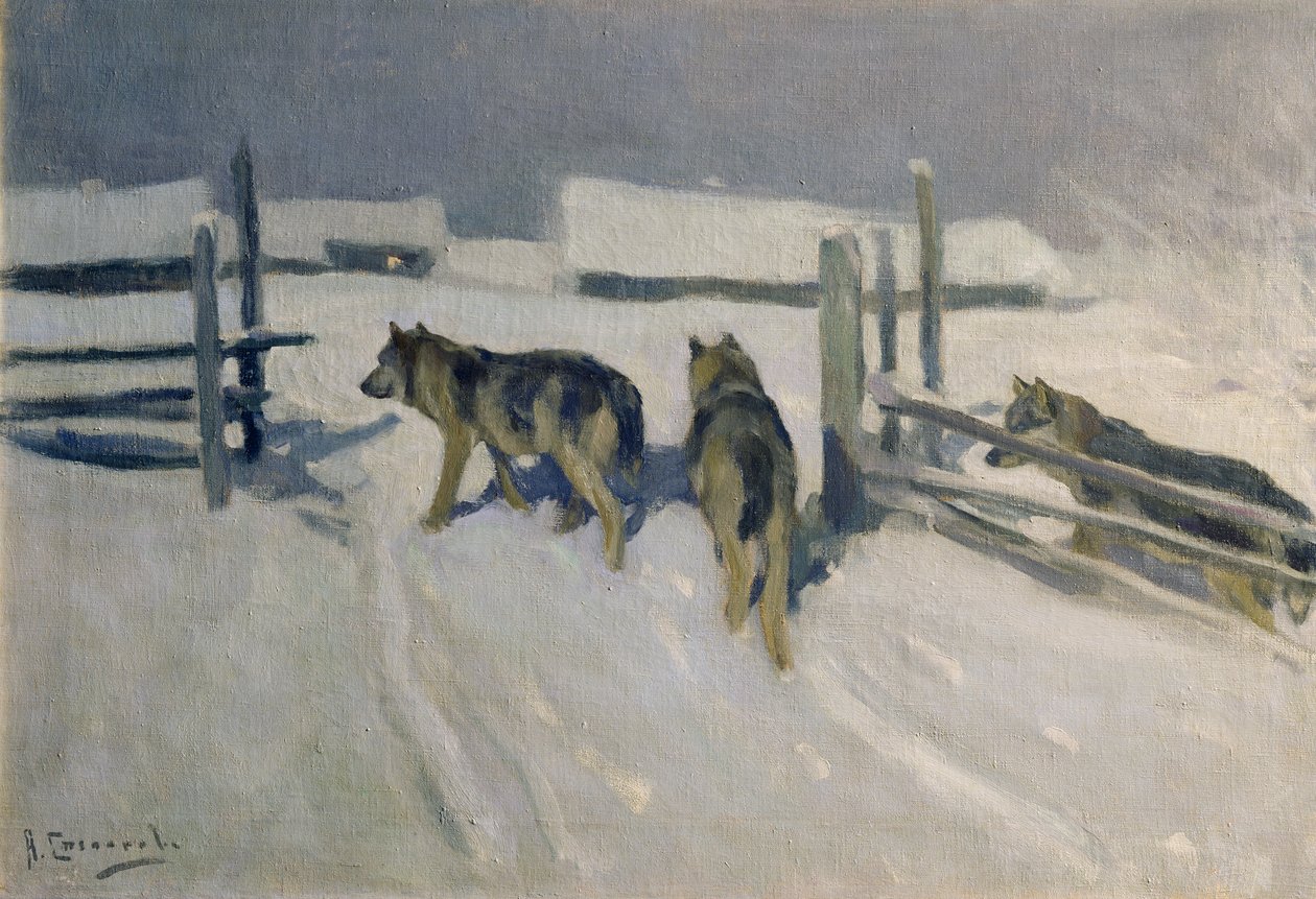 Ulve, Vinternat, ca. 1910 swed av Alexei Steipanovitch Stepanov