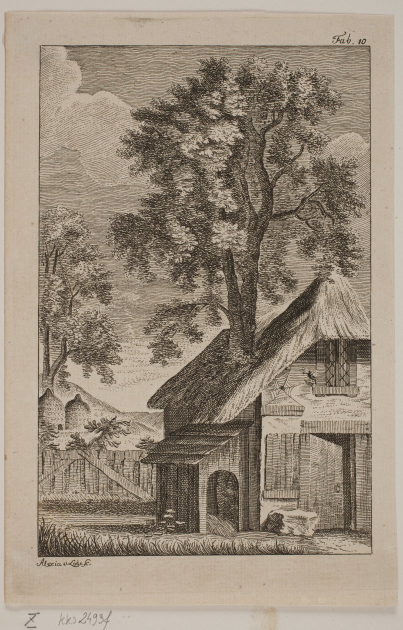 Spindeln och biet av Alexia von Lode