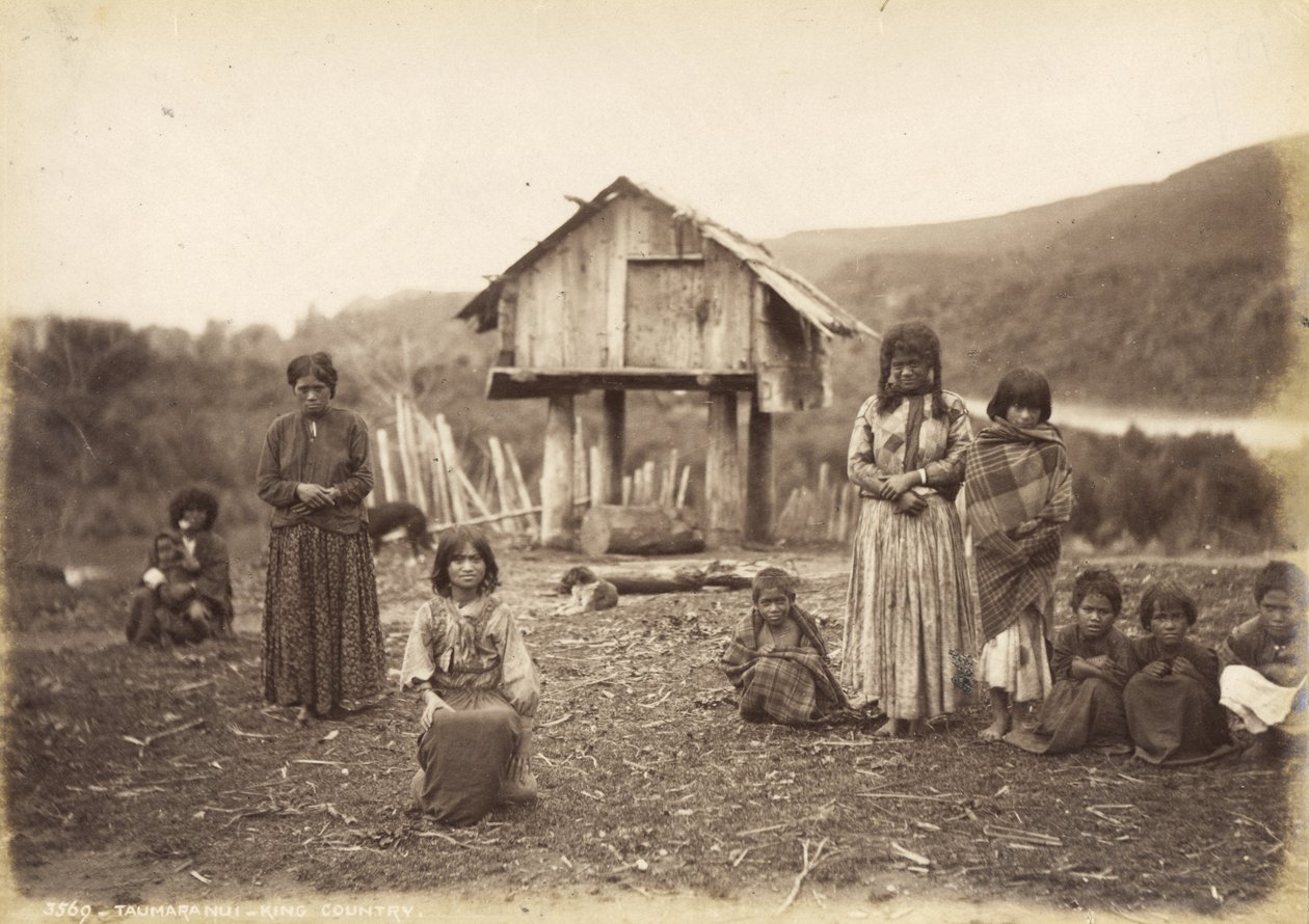 Taumaranui - King Country, 29 maj 1885 (albumenprint) av Alfred Burton