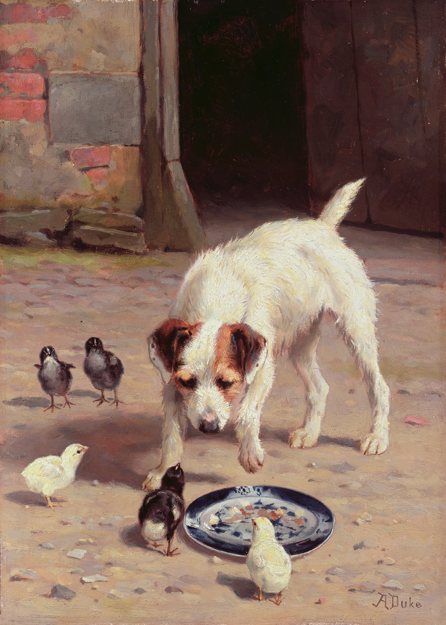 Konfrontation av Alfred Duke