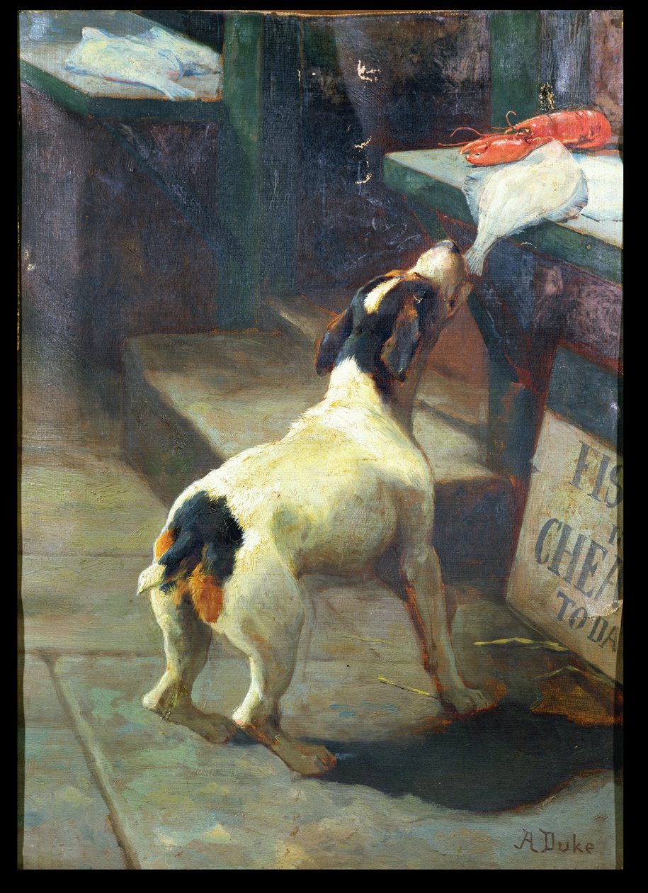 Fisk är billig i dag av Alfred Duke
