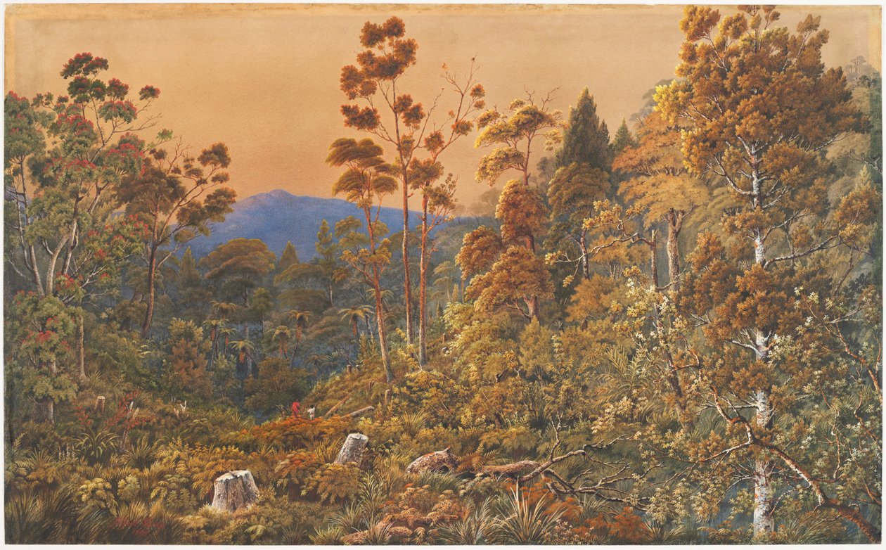 En gyllene kväll, Waiheke Island av Alfred Sharpe