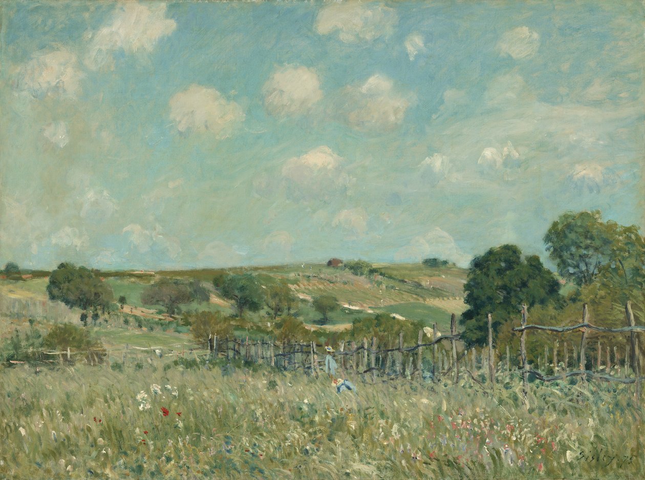 Meadow, 1875 av Alfred Sisley