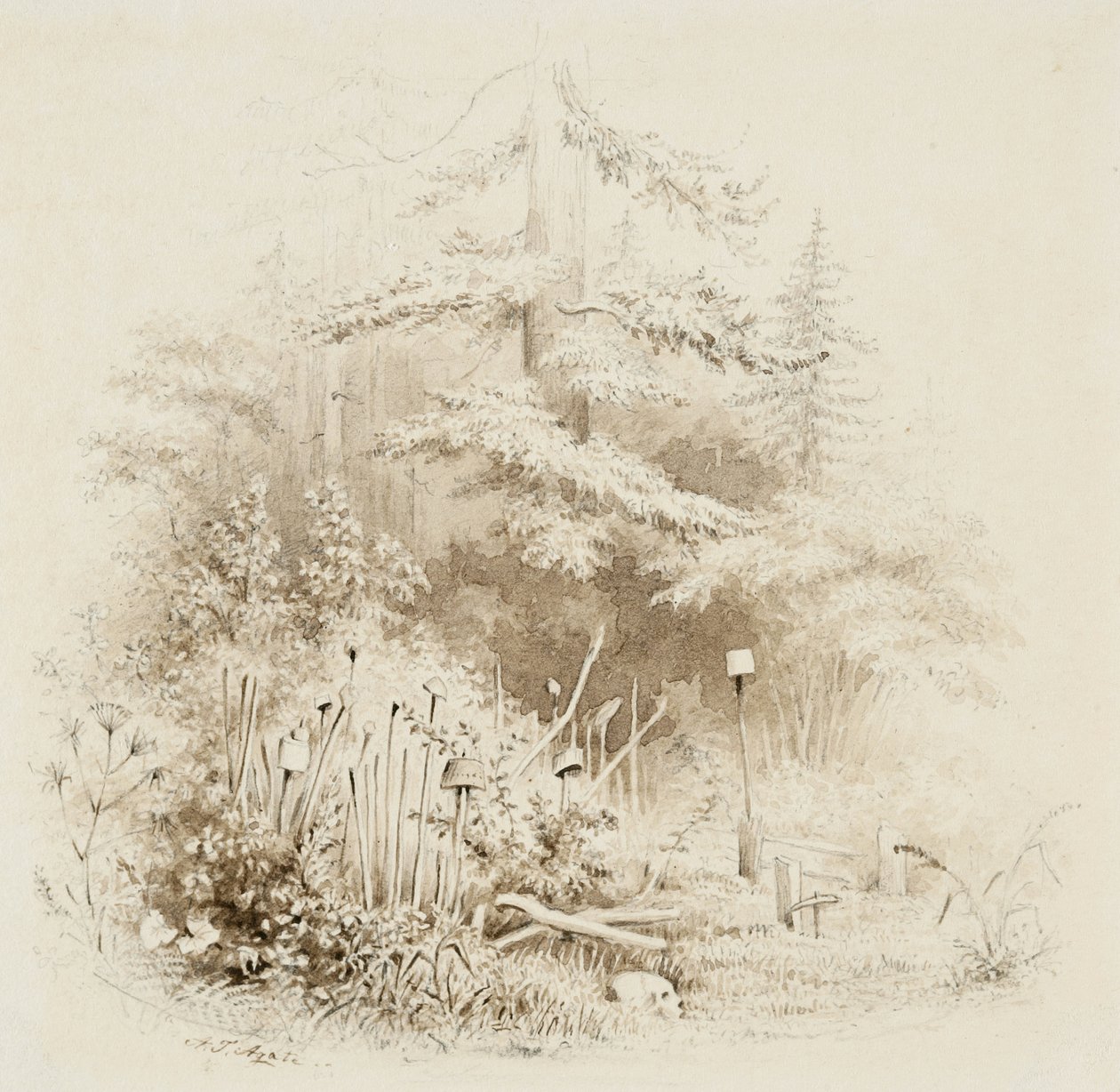 Indian Burial Place, Oregon, 1841 (borste & brun tvätt, med grafit, på krämvävt papper) av Alfred Thomas Agate