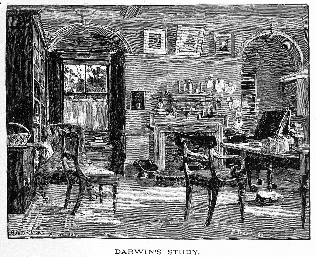 Darwins studie från Charles Darwin, hans liv och arbete, pub. 1891 (trägravyr) av Alfred (after) Parsons