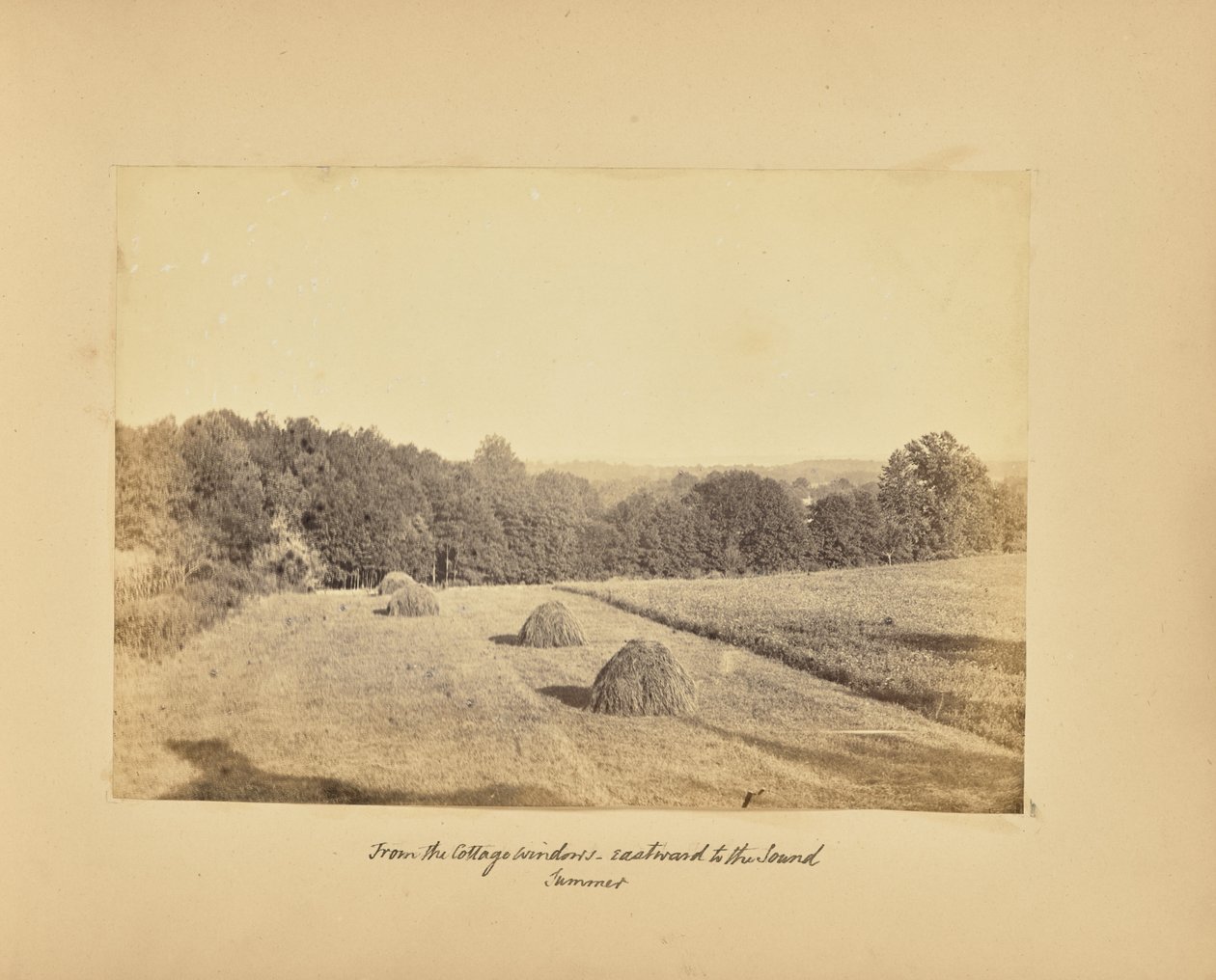 Från stugans fönster - Österut till Öresund - Sommar av Alfred Booth