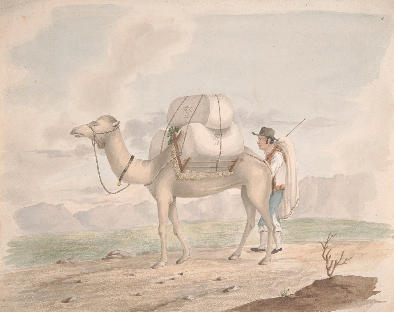 Laddad kamel av Alfred Diston